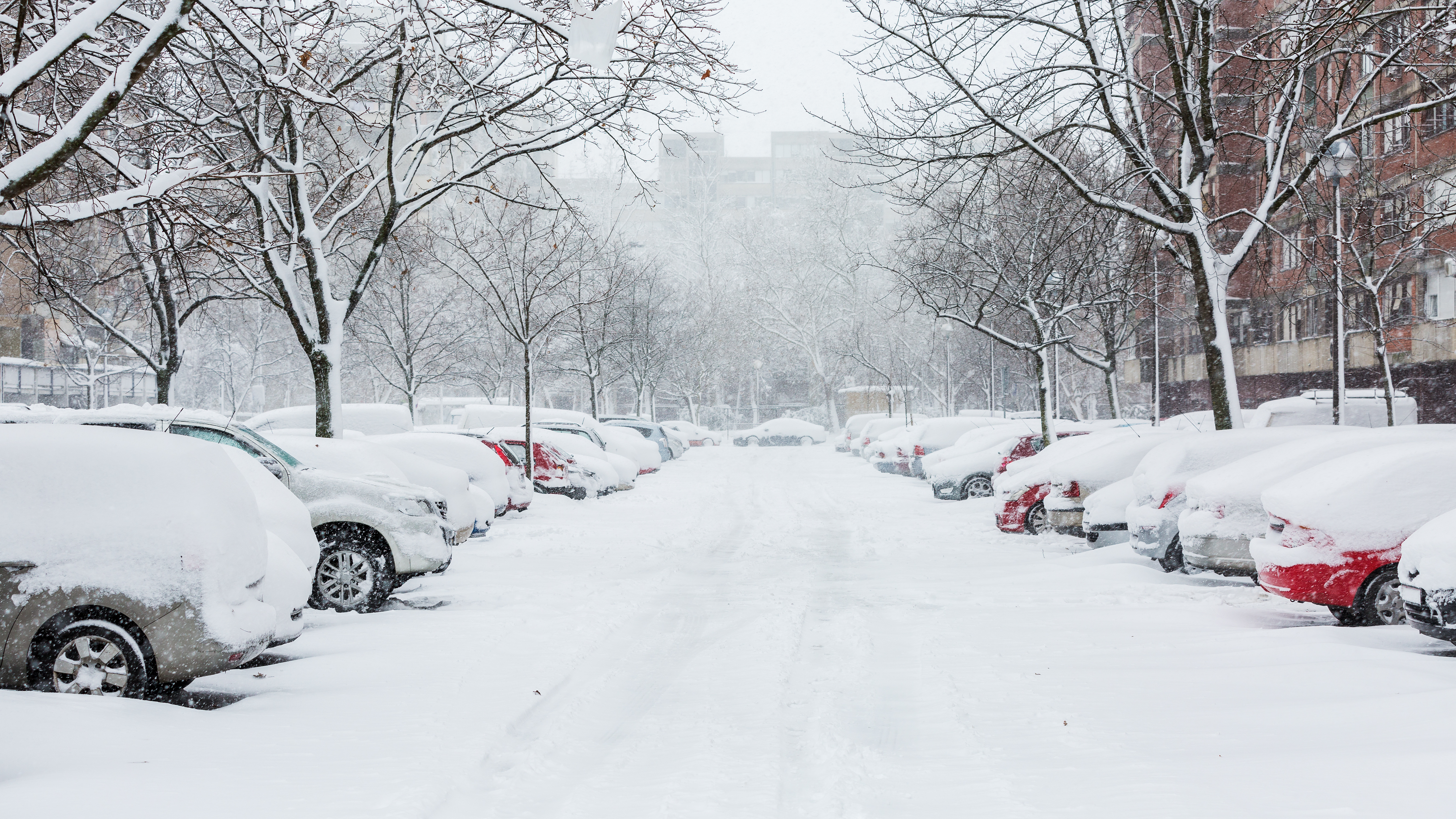 Dealing with Early Snow: How to Keep Your Tires and Vehicle in Top Shape